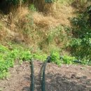 성희농장 이미지