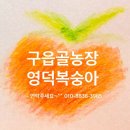 소영이네 꽃