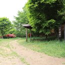 수안산성 Daum카페