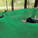 풍산초병설유치원 이미지