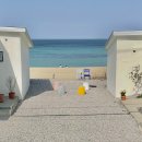 민지네 농장 | [여행] 4월 벚꽃시즌 경포호 1박2일 강릉여행