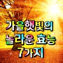 가을햇빛의 놀라운 효능 7가지 이미지