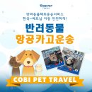 반려동물 이동서비스 | ✈️ 반려동물 해외이동 서비스, 🇰🇷 한국 ↔ 🇻🇳 베트남 국제 카고 운송 전문 코비펫🌍