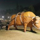 적성전통시장 이미지