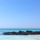 순덕이네민박 이미지