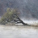 남하대야리 이미지