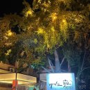 바이드302 이미지