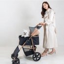 베스트 애견 | 10만 원대로 찾은 베스트 애견 유모차 추천 총정리