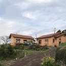 보리울 민박 이미지