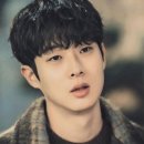 댕댕미용 | 무악재역 남친미 댕댕미가 넘치는 쉐도우펌스타일 시술과정후기