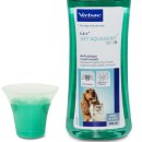 애니 팜 이미지