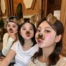 다솔 스테이 이미지