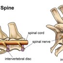 광명 24 아이디동물의료센터 이미지