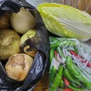 소천약국 이미지