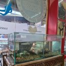 삼삼반점 이미지