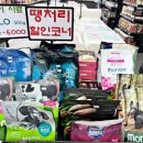 야옹아 멍멍해봐 탕정점 이미지