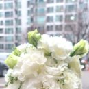 감동 | 경기광주 부케말리기 선물, 부케무드등 제작 감동후기 포함 잠실부케말리기