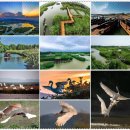 2025 단오절 모간산 1박2일여행 5월31일~6월1일 이미지