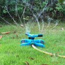 옥이텃밭 이미지