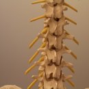 사암바른한의원 이미지