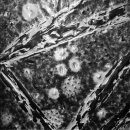 코리아아트 그림전시 이미지