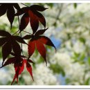 별이 뜨는 집 이미지