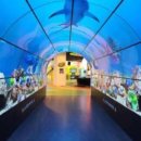 데이트(972) 이미지