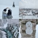 엔 | 삿포로 내돈내산 버스투어 비에이 후라노 버스투어 ‘엔데이트립’ 후기