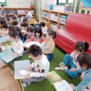 관교어린이도서관 이미지