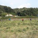 대장이랜드마을 이미지