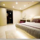 리젤펠리스 이미지