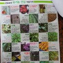 이경희농장 이미지