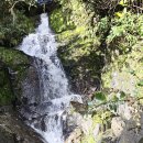 2026년 5월 9일 Wairoa Loop Track 이미지