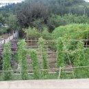 내서읍724 이미지