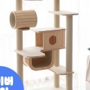 더샵 동물병원 이미지