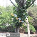 보체헤어 네이버블로그