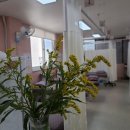 원주시민의원 이미지