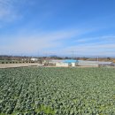 오소록 하우스 이미지