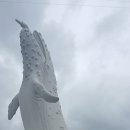 장생포고래박물관 이미지