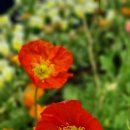 수원지방법원 성남지원 등기소 이미지