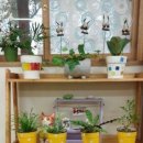 까치울중학교 이미지