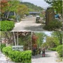 배나무골민박 이미지