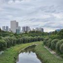 개포의풍경공인중개사사무소 이미지