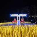 해맞이공영주차장 이미지