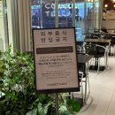 서울역 내부 카페 도레도레 (빈스앤베리즈, 센터커피와의 비교)