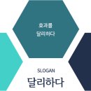 달리아에스테틱(반포점)