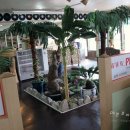 베트남쌀국수월남쌈 이미지