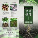 자연을담은생약