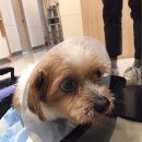 천운반점 이미지