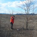 황종영카클리닉 이미지